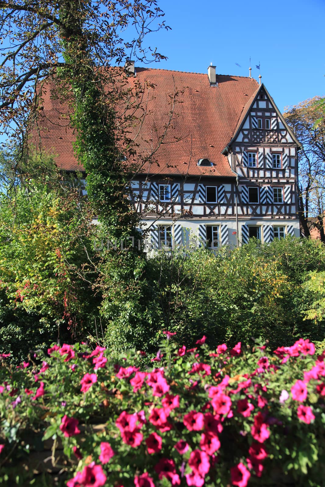 Old half-timbered townhall with garden flowers and tree