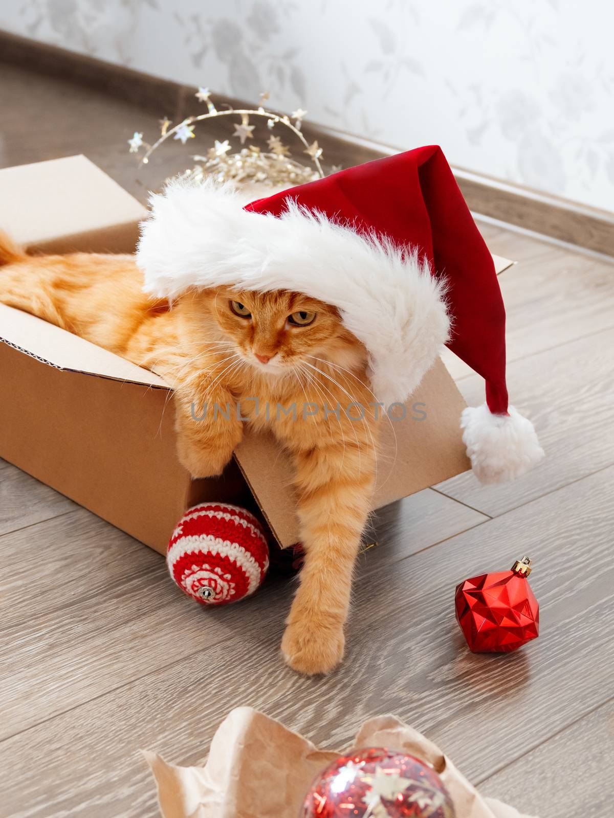 Cute ginger cat lies in box with Christmas and New Year decorations on wooden background. Fluffy pet with red Santa Claus hat. Fuzzy domestic animal during winter holiday preparation.