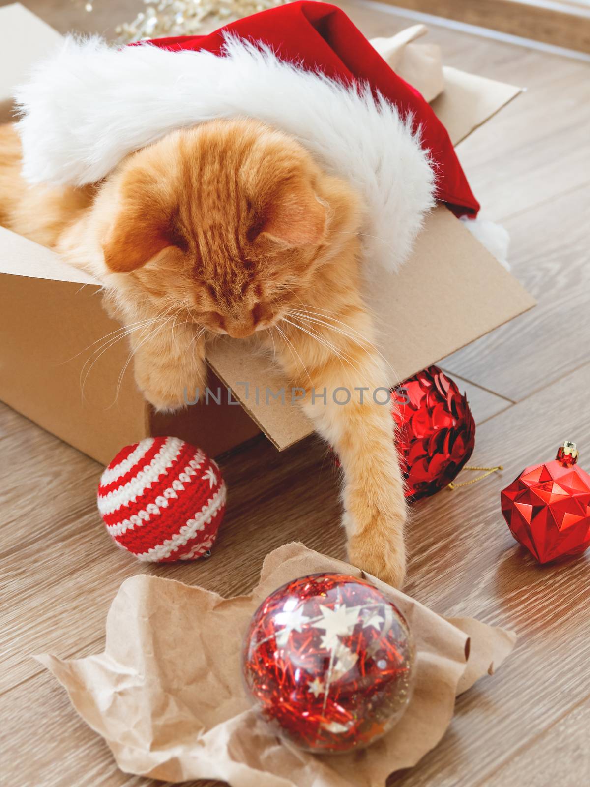 Cute ginger cat lies in box with Christmas and New Year decorations on wooden background. Fluffy pet with red Santa Claus hat. Fuzzy domestic animal during winter holiday preparation.