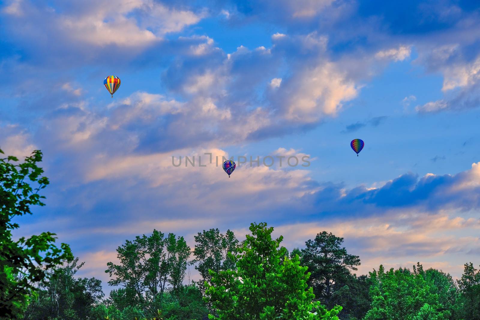 Colorful hot air balloons floating in a nice sky over green trees