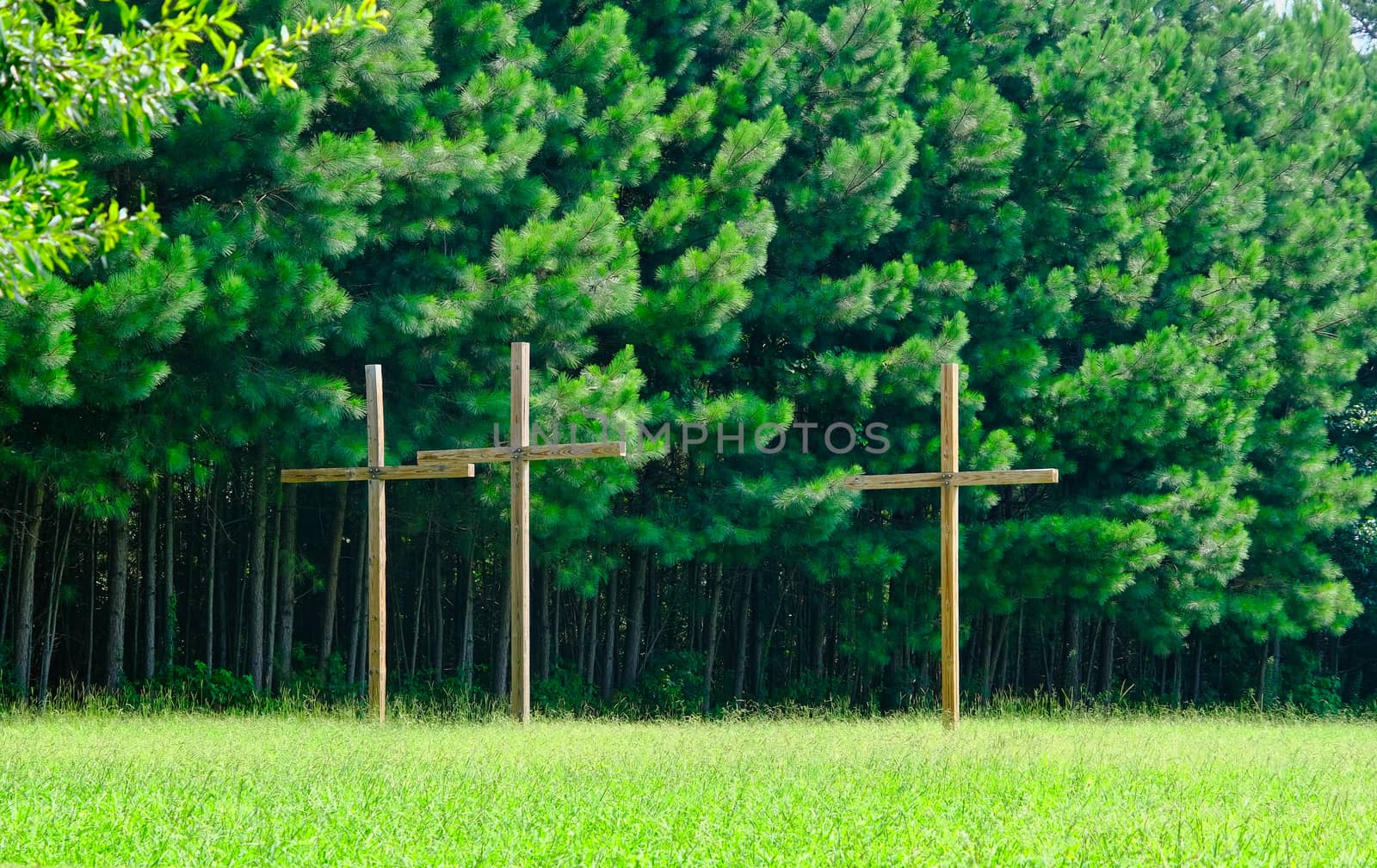 Three Wood Crosses by dbvirago