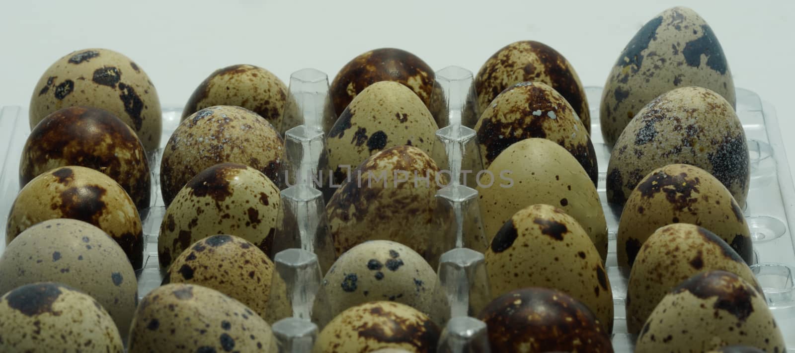 Quail eggs laid in a basket.