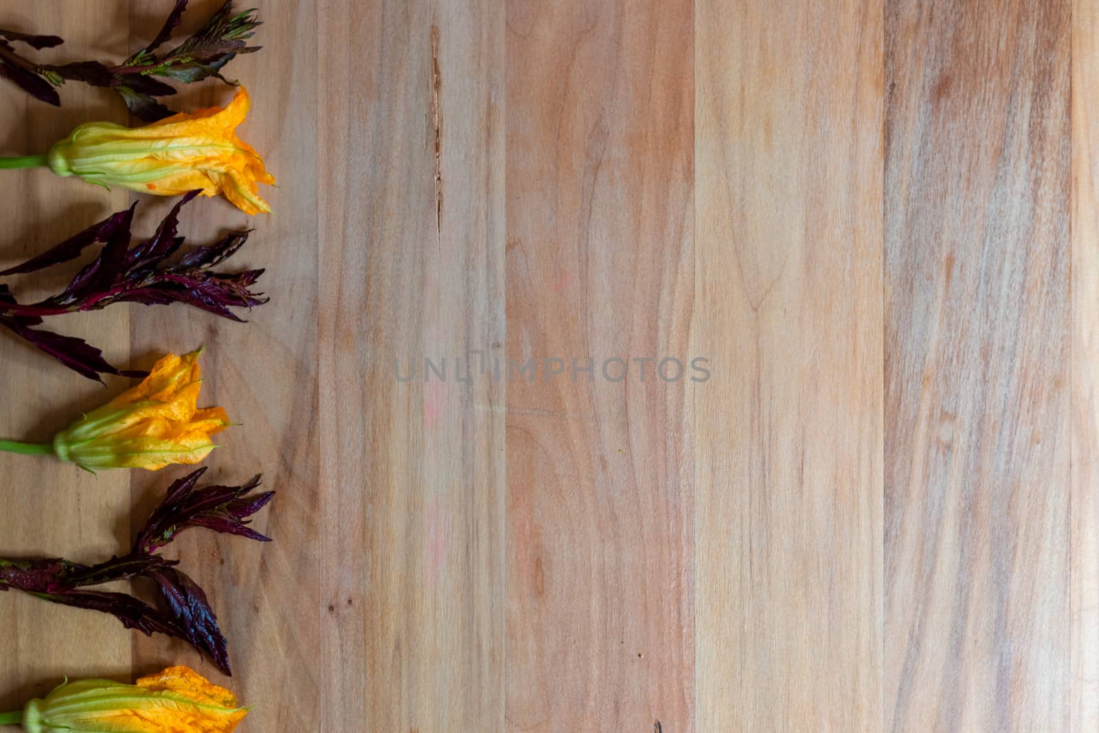 Wooden background with pumpkin flowers and purple epazote, for copy space. Food background