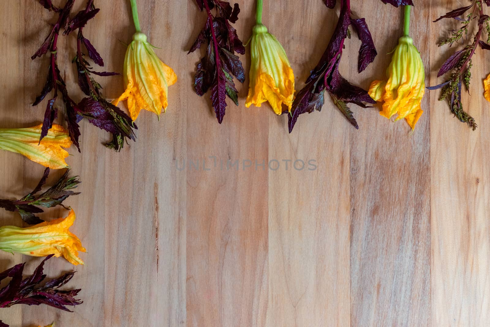 Wooden background with pumpkin flowers and purple epazote, for copy space. Food background