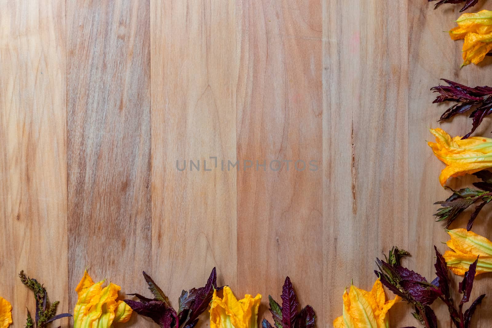 Wooden background with pumpkin flowers and purple epazote, for copy space. Food background