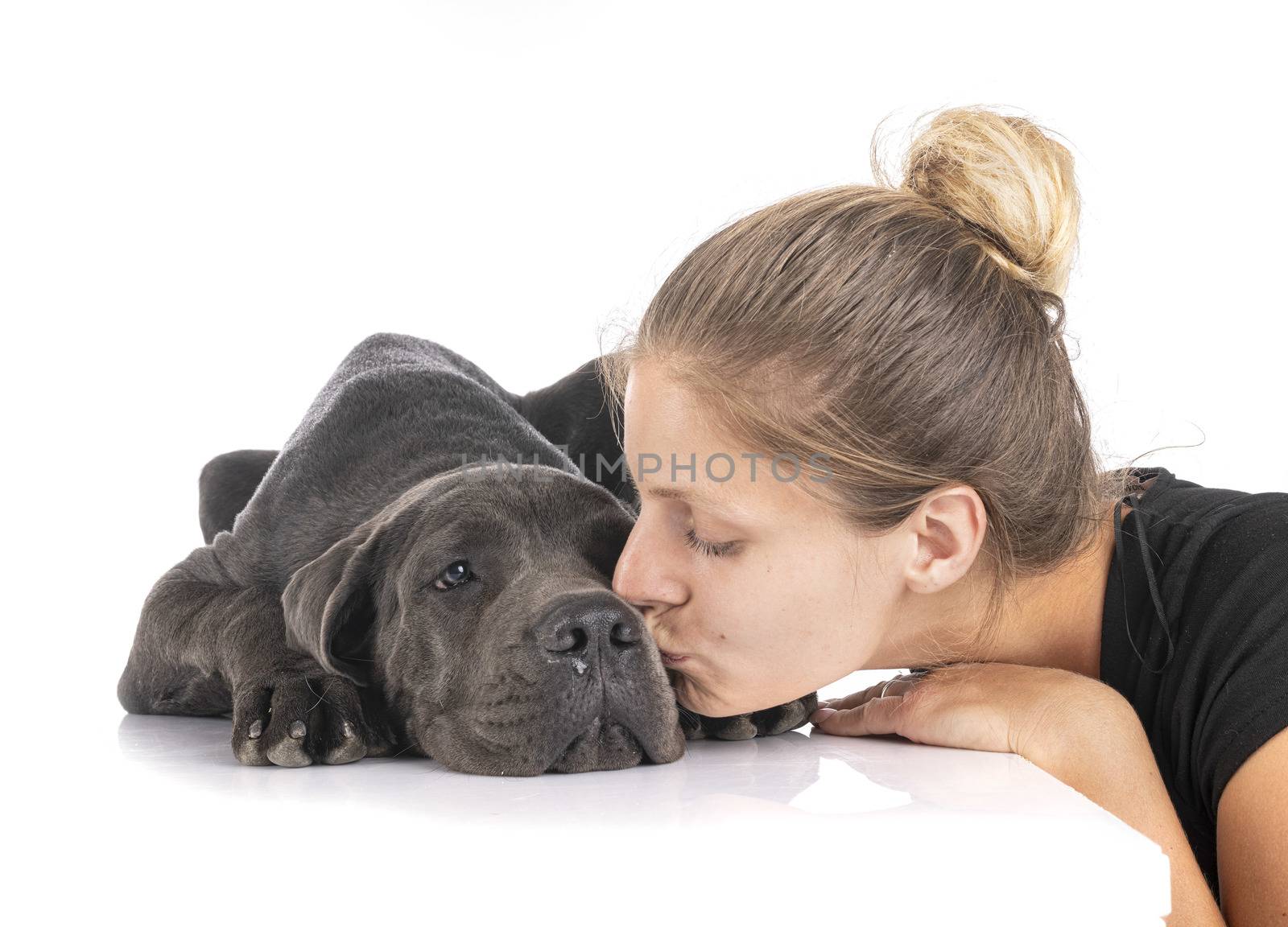puppy great dane and woman in front of white background