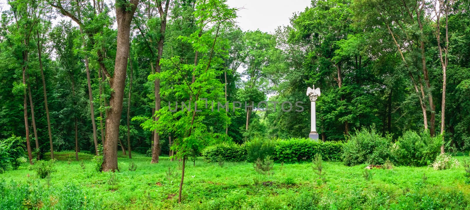 Bila Tserkva, Ukraine 06.20.2020. Alexandria park in Bila Tserkva, one of the most beautiful and famous arboretums in Ukraine, on a cloudy summer day.