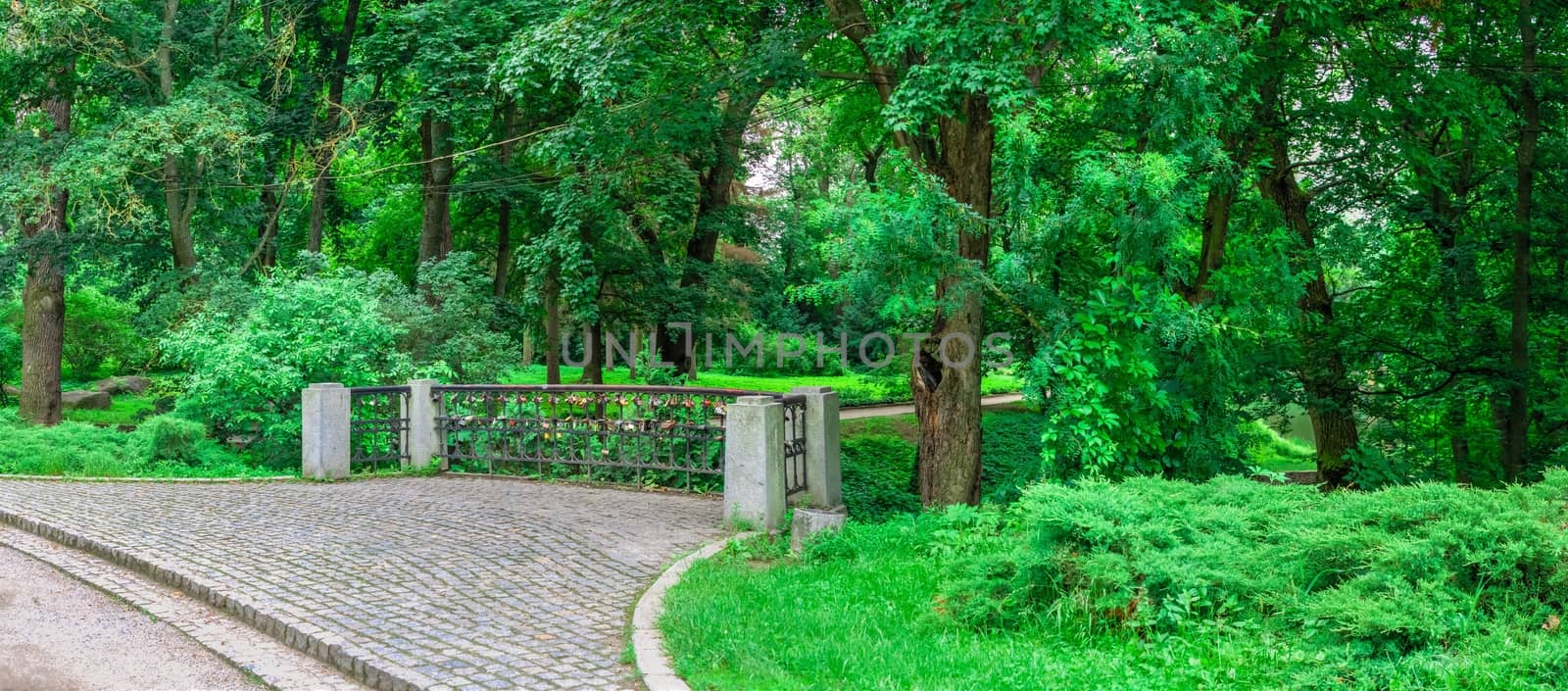 Bila Tserkva, Ukraine 06.20.2020. Alexandria park in Bila Tserkva, one of the most beautiful and famous arboretums in Ukraine, on a cloudy summer day.