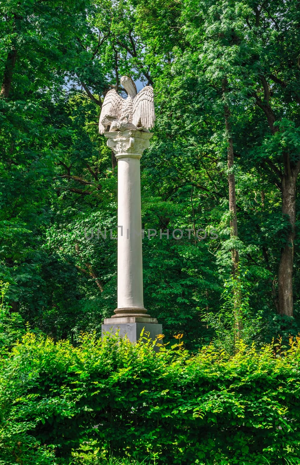 Bila Tserkva, Ukraine 06.20.2020. Alexandria park in Bila Tserkva, one of the most beautiful and famous arboretums in Ukraine, on a cloudy summer day.