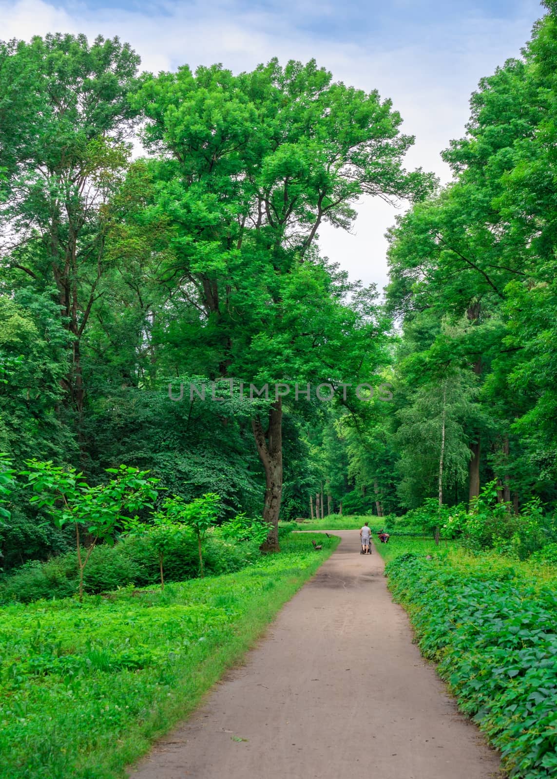 Bila Tserkva, Ukraine 06.20.2020. Alexandria park in Bila Tserkva, one of the most beautiful and famous arboretums in Ukraine, on a cloudy summer day.