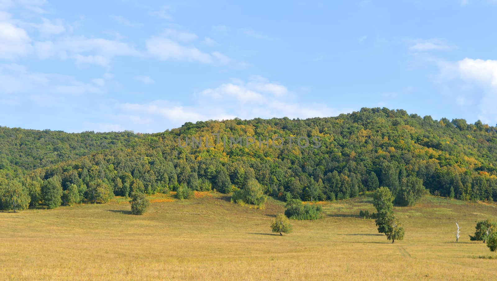 Summer landscape with mountain by sergpet