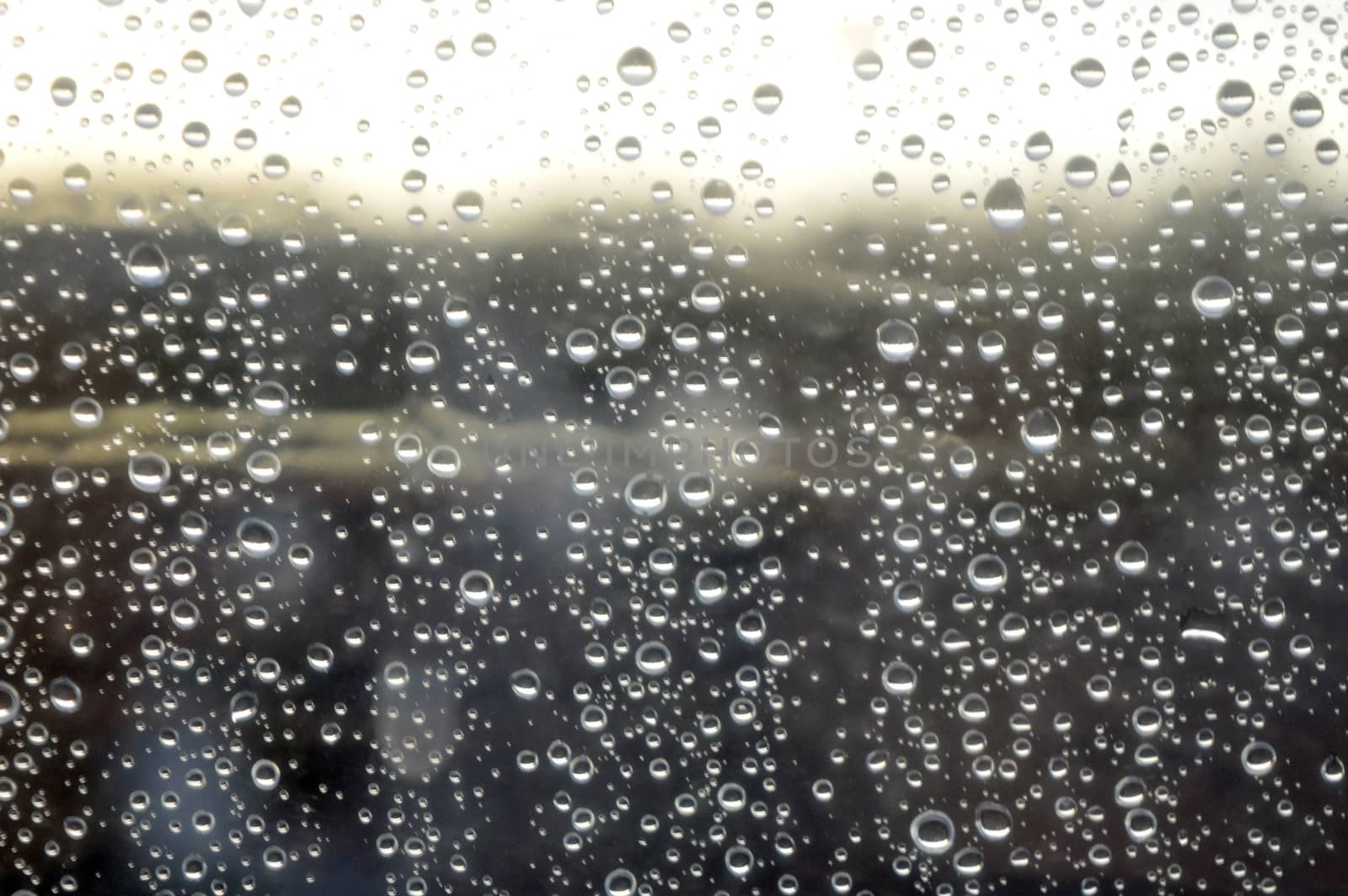 Drops of rain on the window, shallow dof