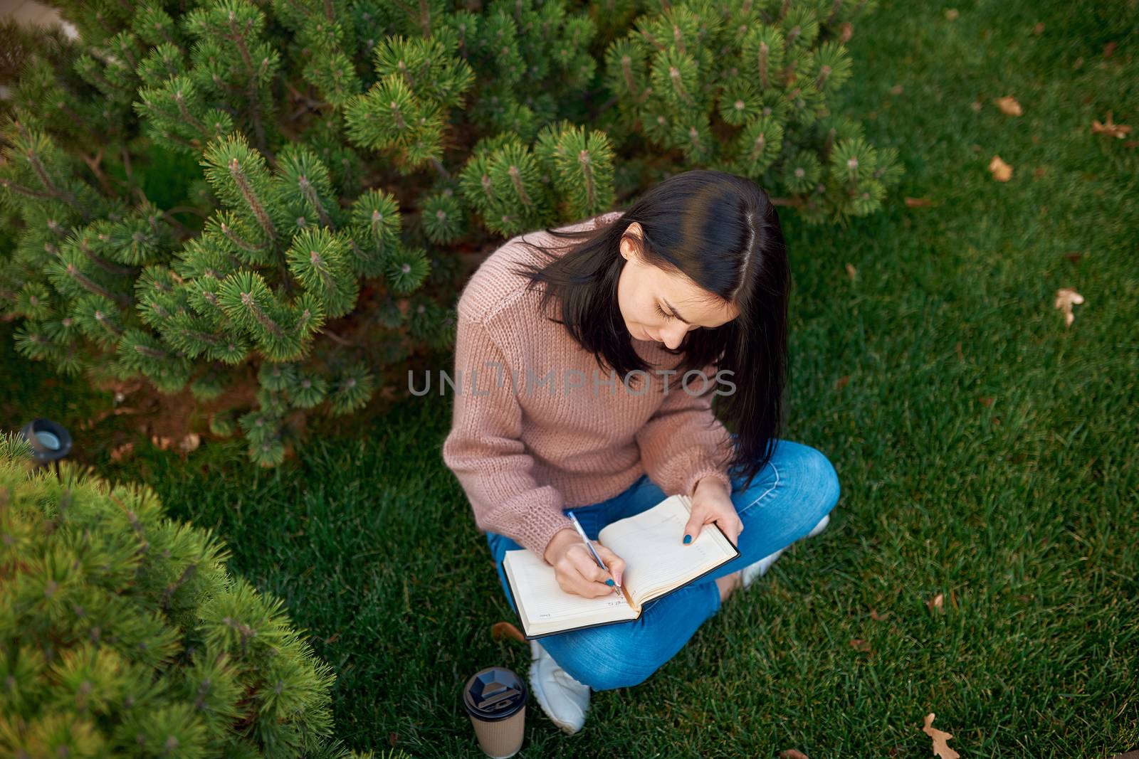 Top view of serious young female making some recordings in a thick copybook while sitting on a green grass lawn surrounded by conifers