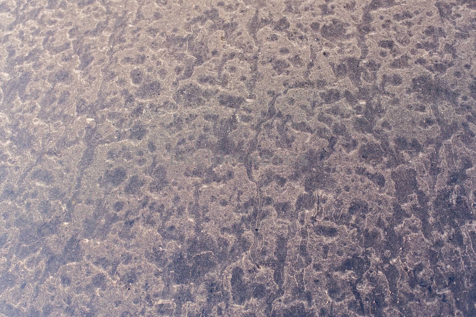 closeup texture of dry dust on car surface after short rain with selective focus.