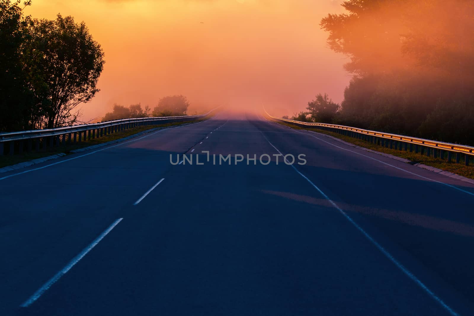 early morning fog in wold at summer highway near river with guard rails.
