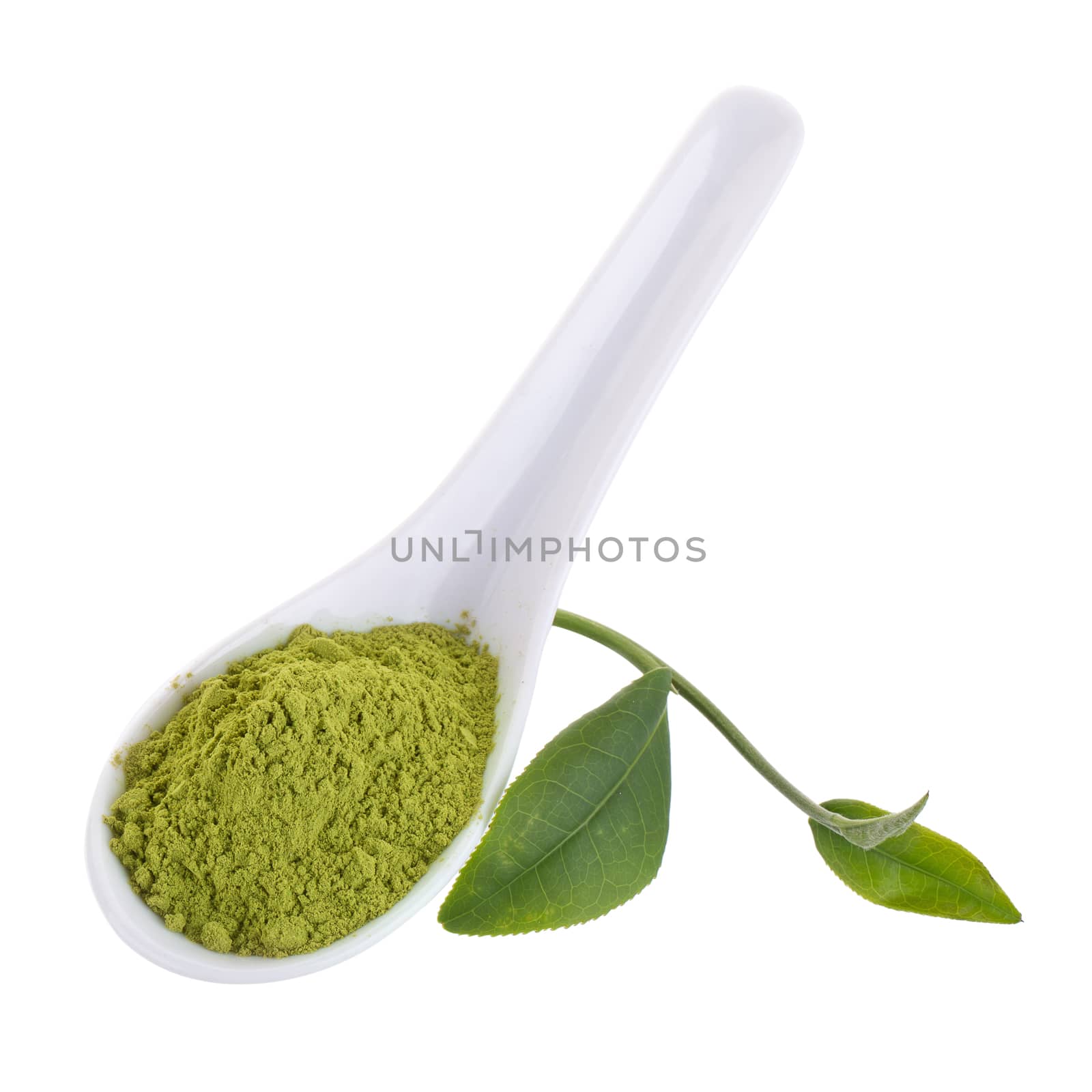 matcha powder in White ceramic spoon isolated on white background.