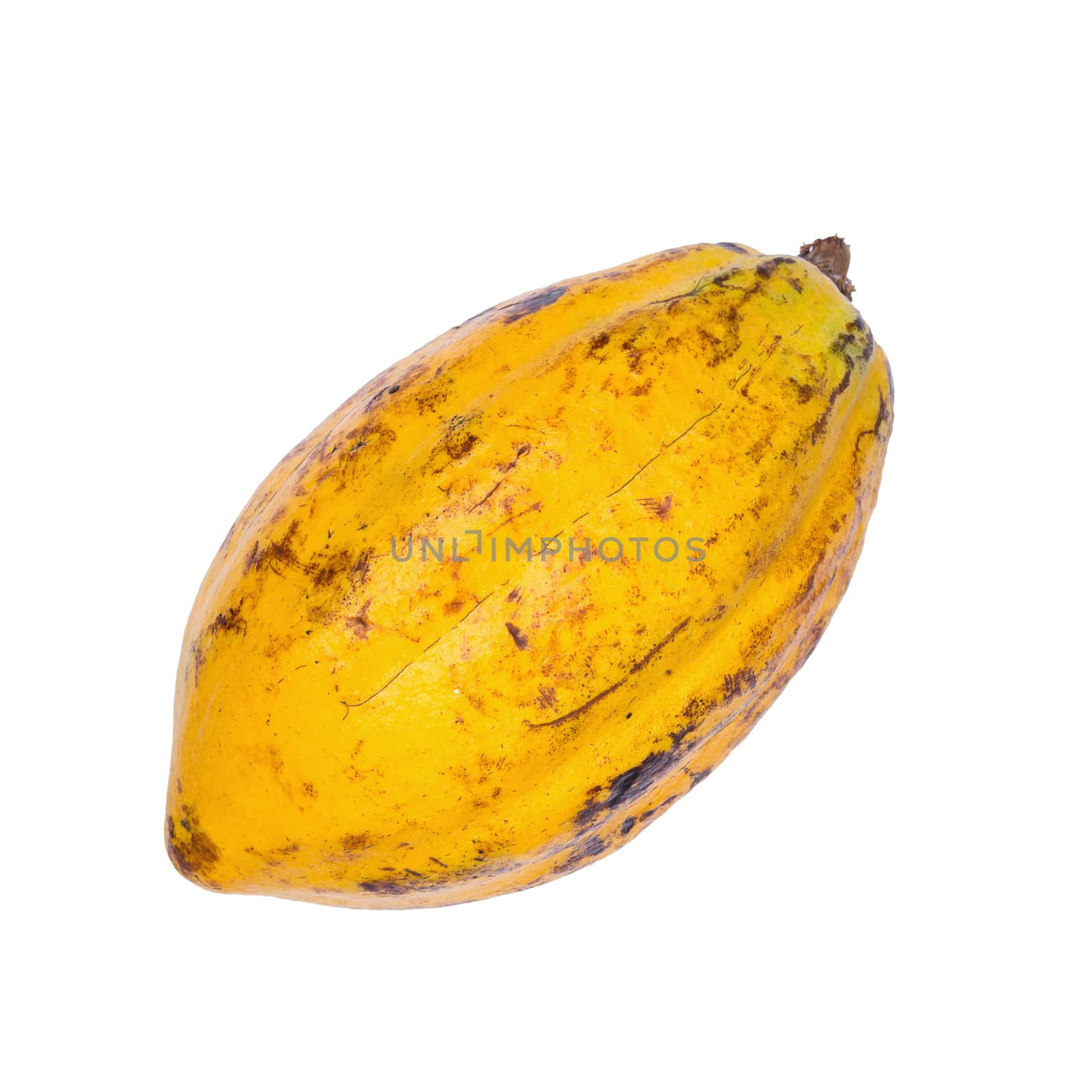 Cacao fruit, raw cacao beans, Cocoa pod isolated on white background.