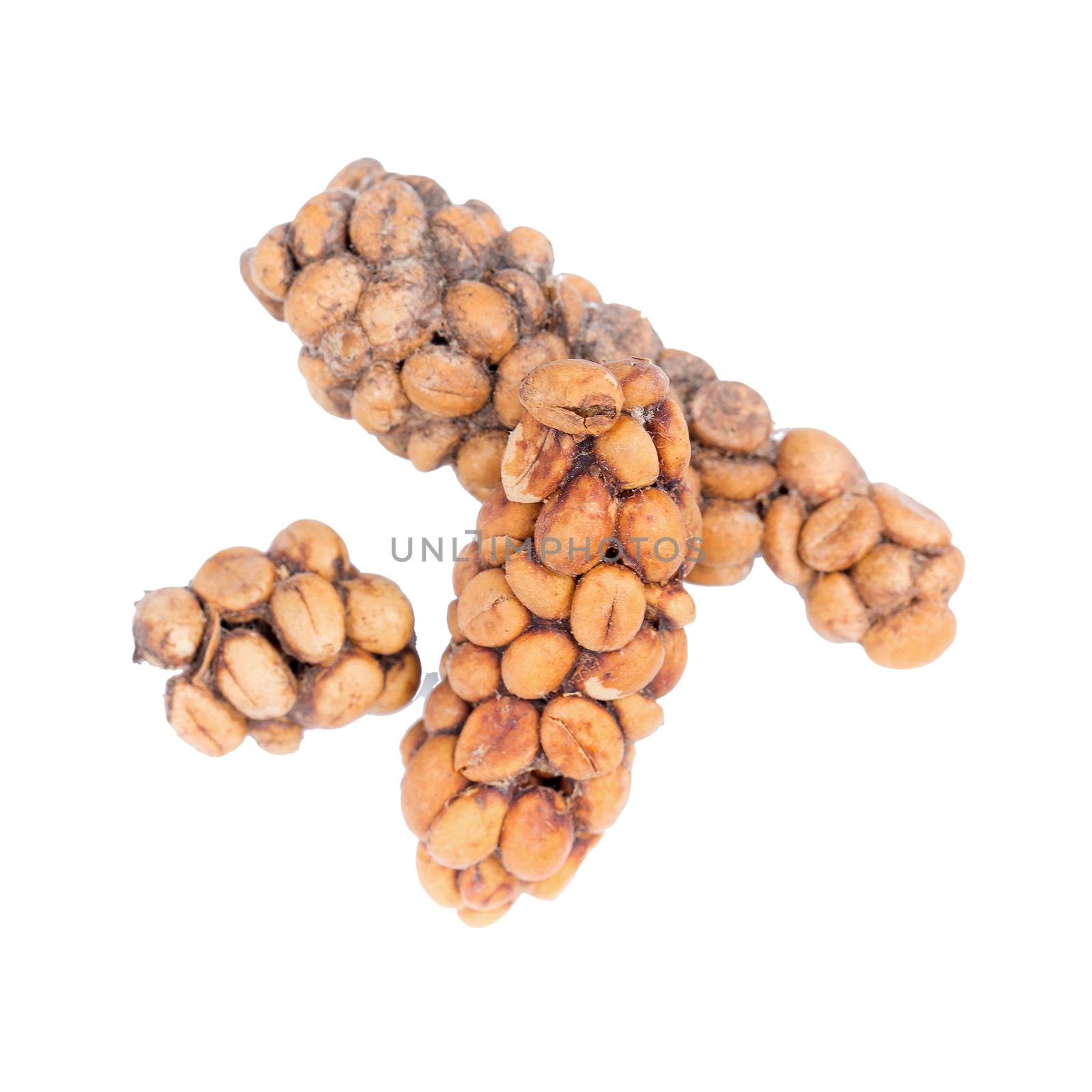 Kopi luwak or civet coffee, Coffee beans excreted by the civet isolated on white background.