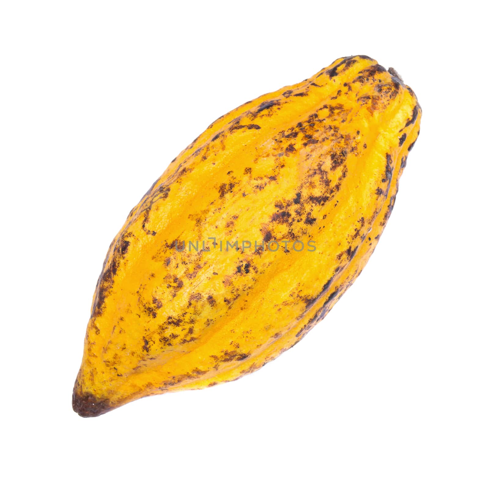 Cacao fruit, raw cacao beans, Cocoa pod isolated on white background.