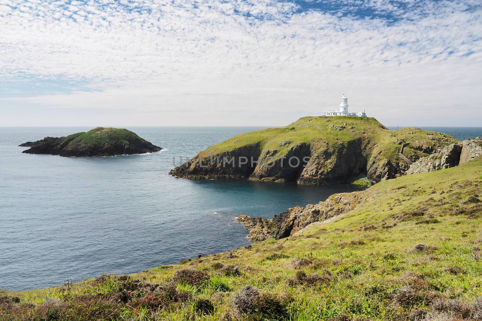 Strumble Head Lighthouse built by Trinity House in 1908 sitting on the top of the island of Ynys Meicel on a sunny day with white clouds overhead, Pembrokeshire Coast National Park, Wales, UK