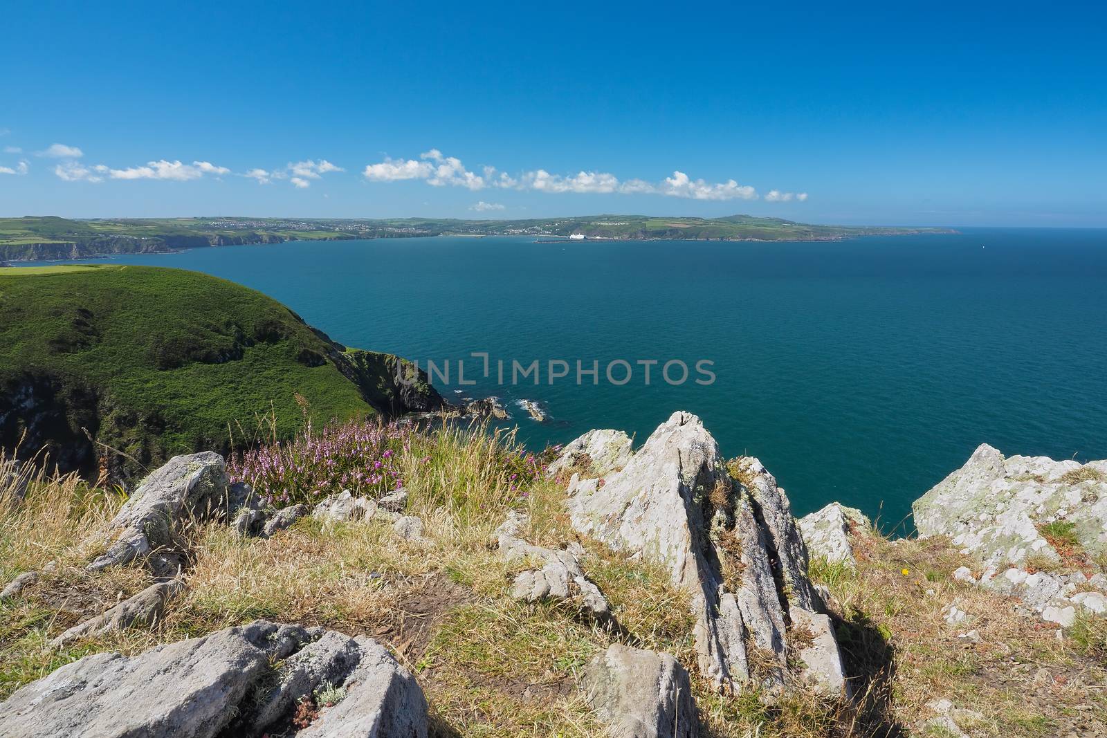 Exhilarating view from the top of Dinas Head on Dinas Island over the cliffs and coastline to Fishguard Harbour, Pembrokeshire Coast National Park, Wales, UK