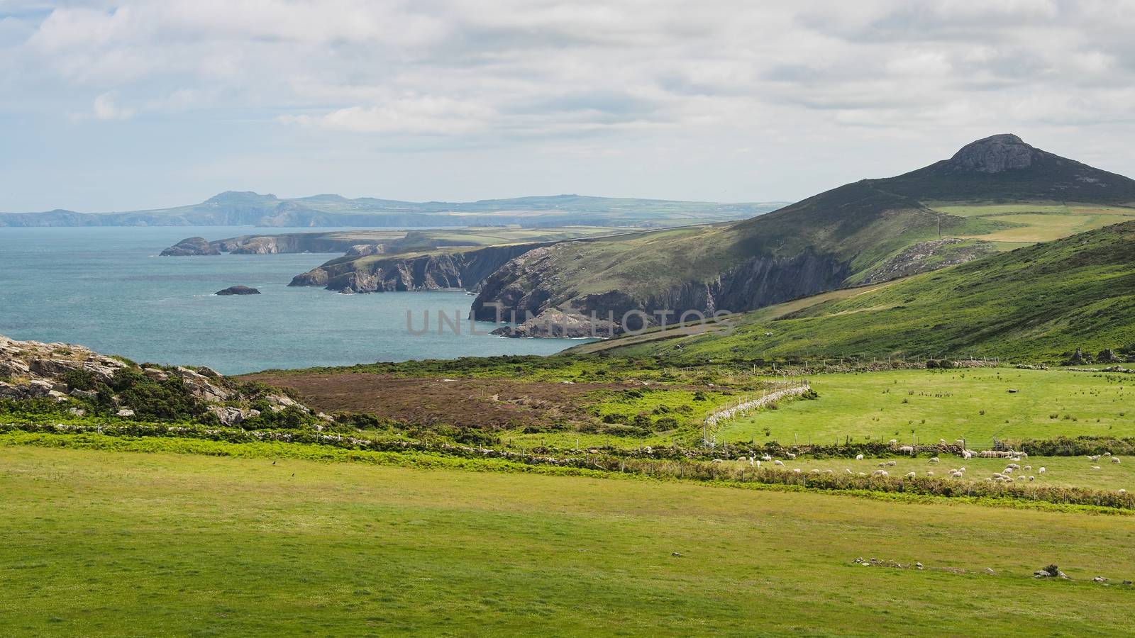 View from St Davids peninsula along the dramatic coastline, Pembrokeshire, Wales by PhilHarland