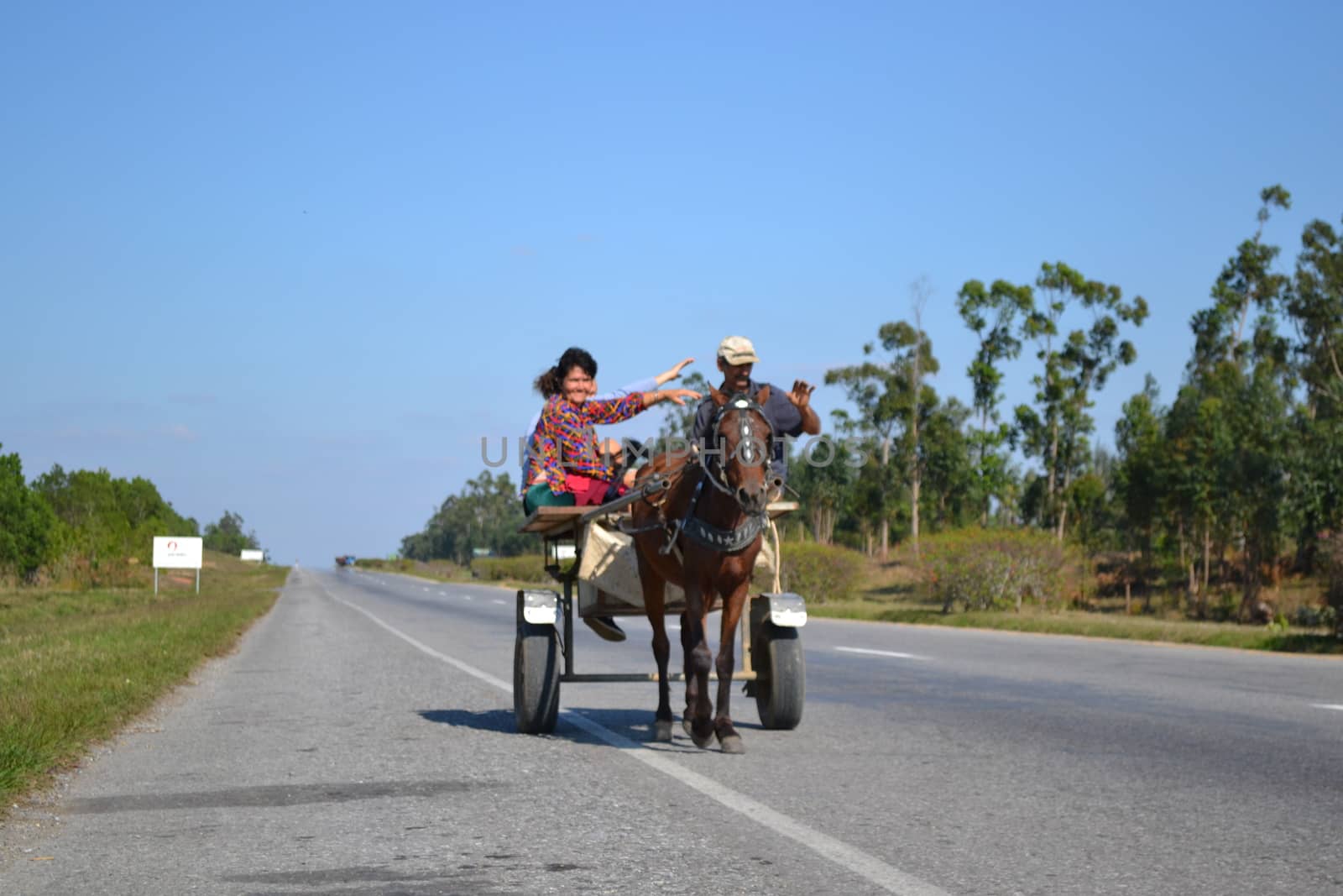 vinales, cuba, march 2011: Horse carriage on the cuban roads
