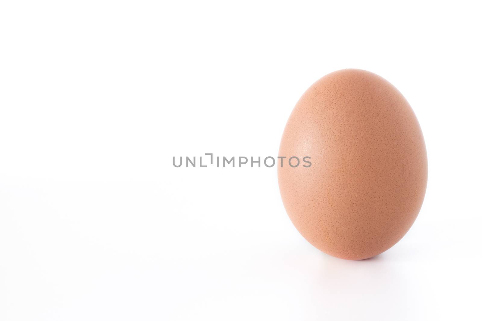 A big chicken egg, isolated on white background.
