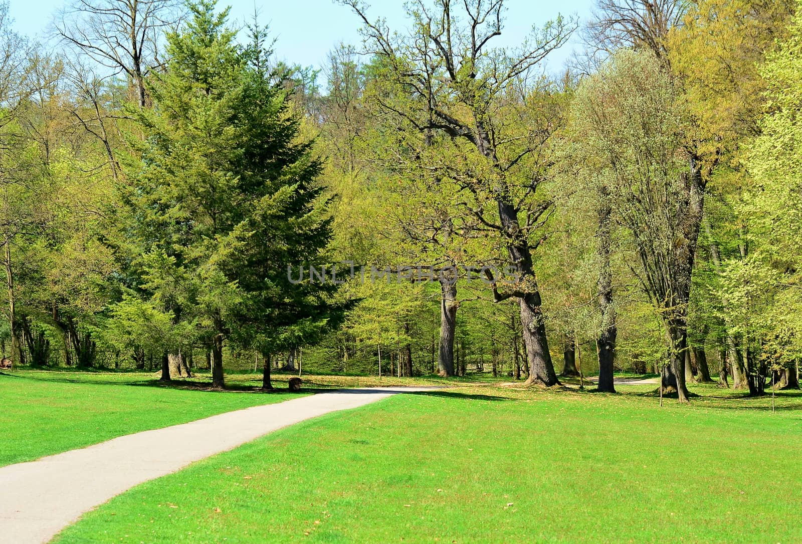 Walk path through the green park in a sunny day. Vlasim castle park.