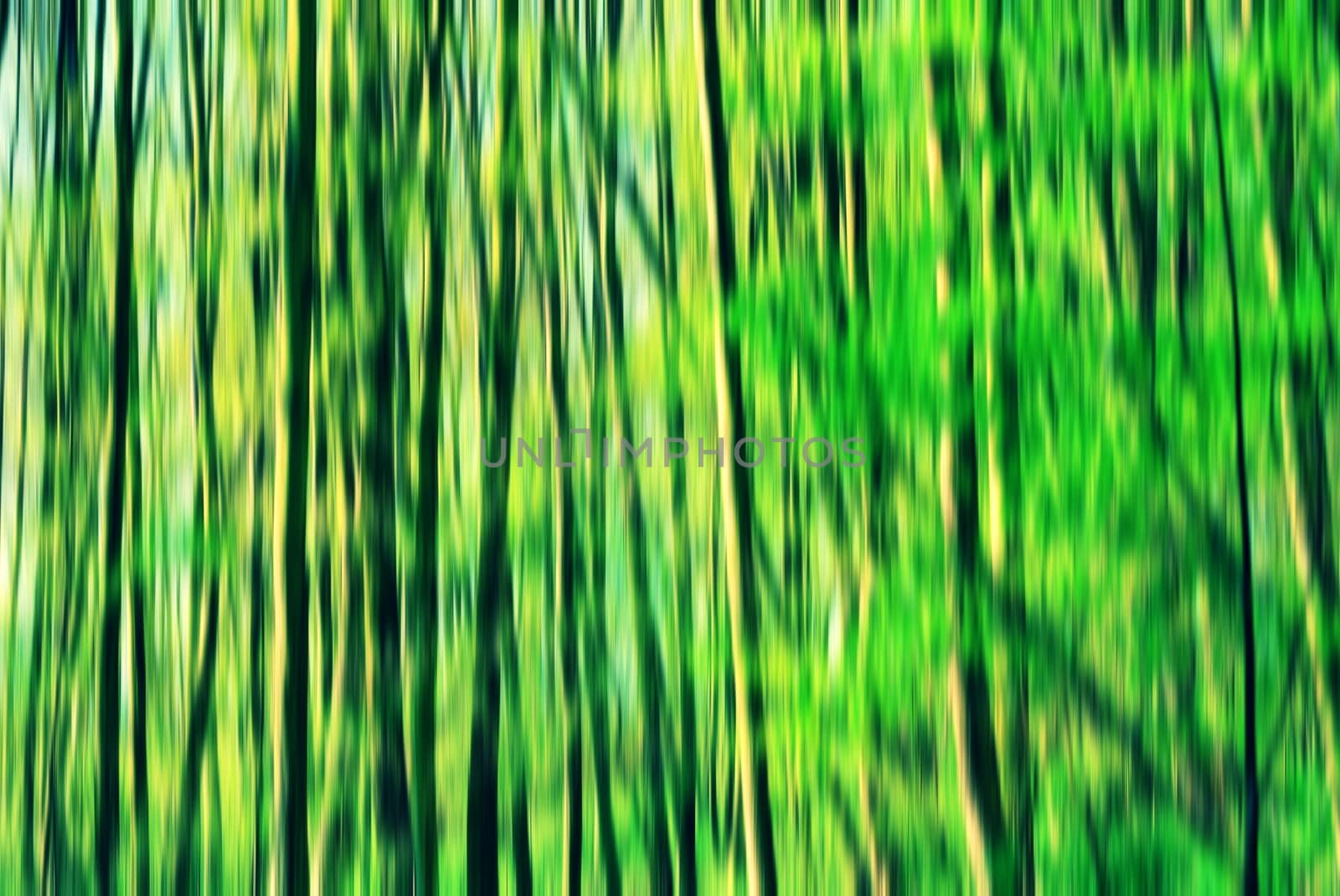 Abstract vertical blurry shot of a green forest.