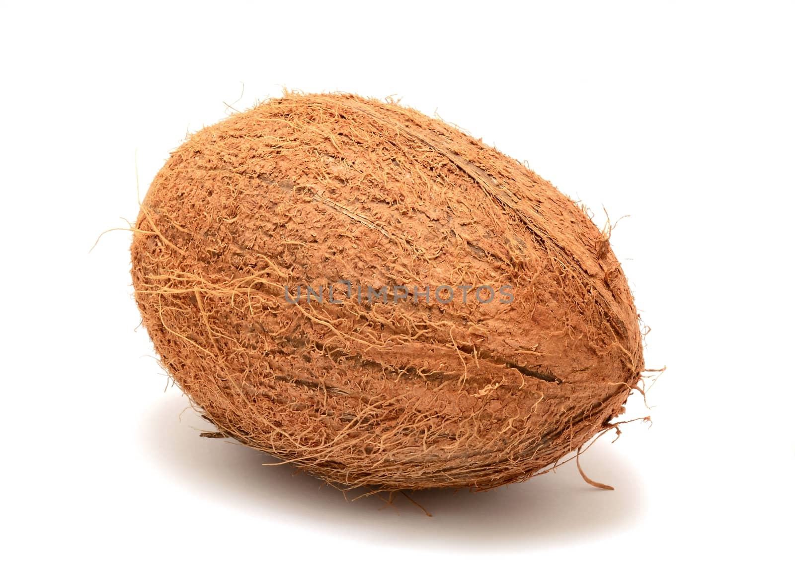 Coconut on white background by hamik