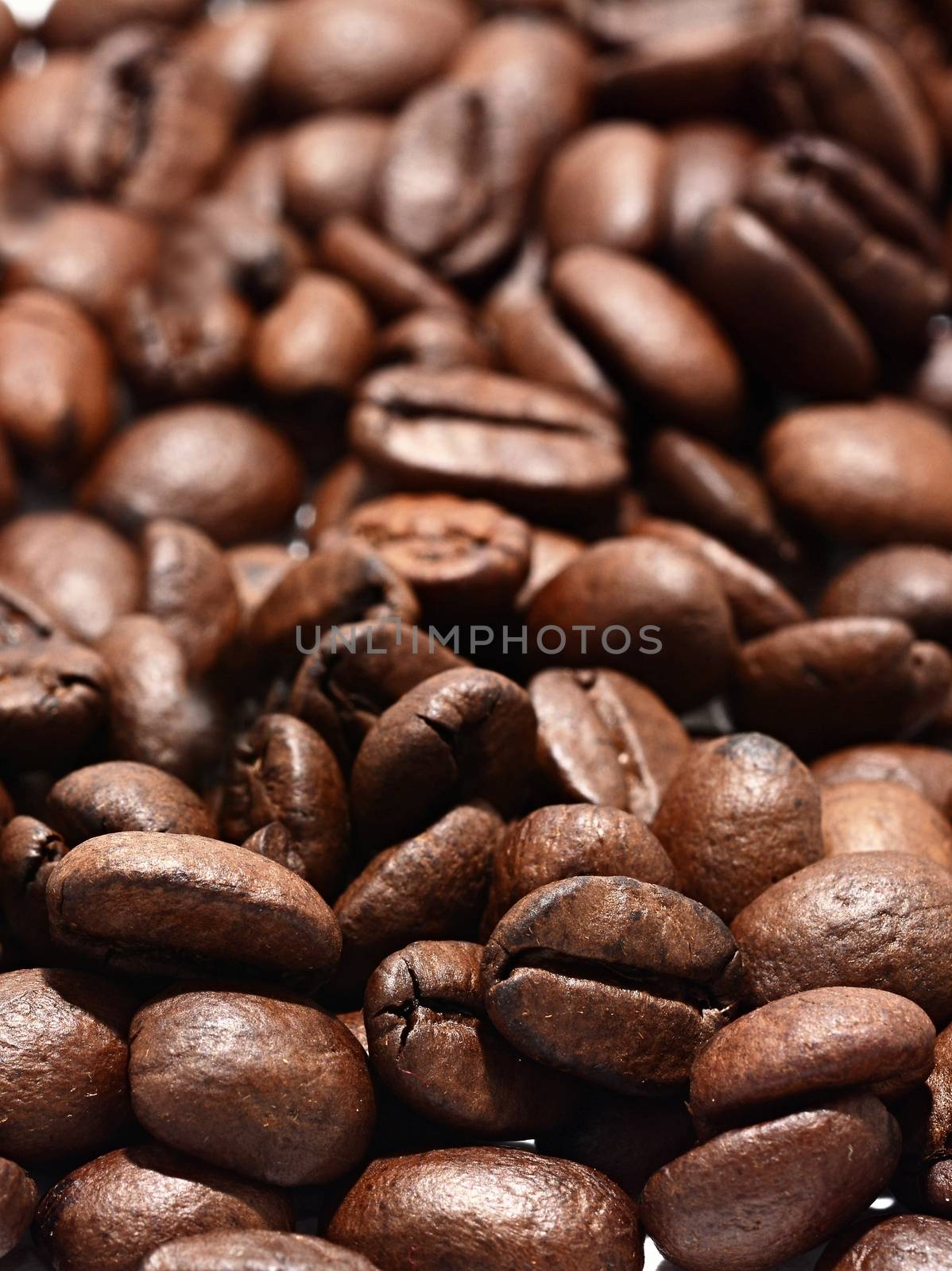 Roasted coffee beans full frame background. Macro shot of coffee beans with visible texture.