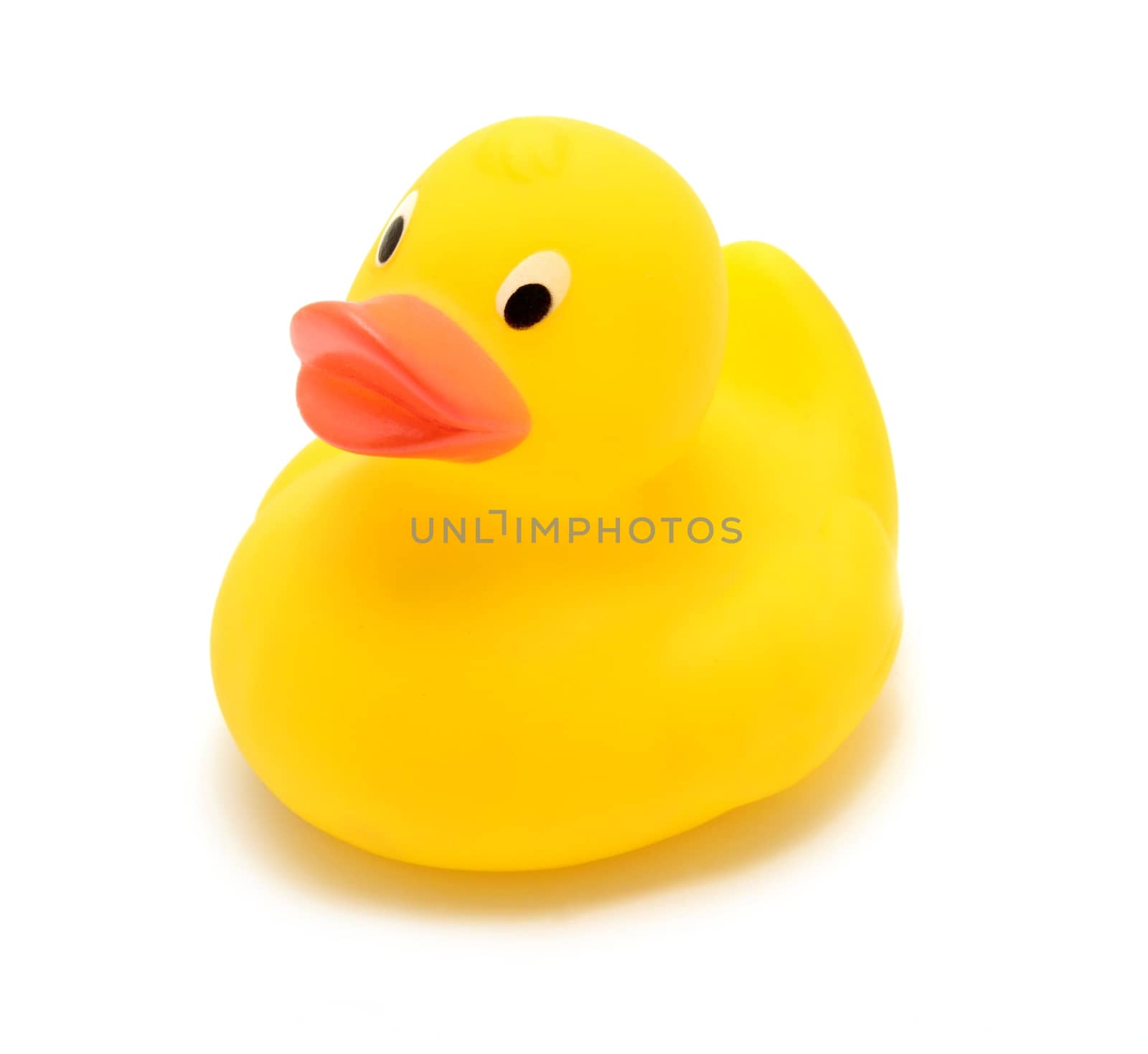 Yellow rubber toy duck over white background. by hamik