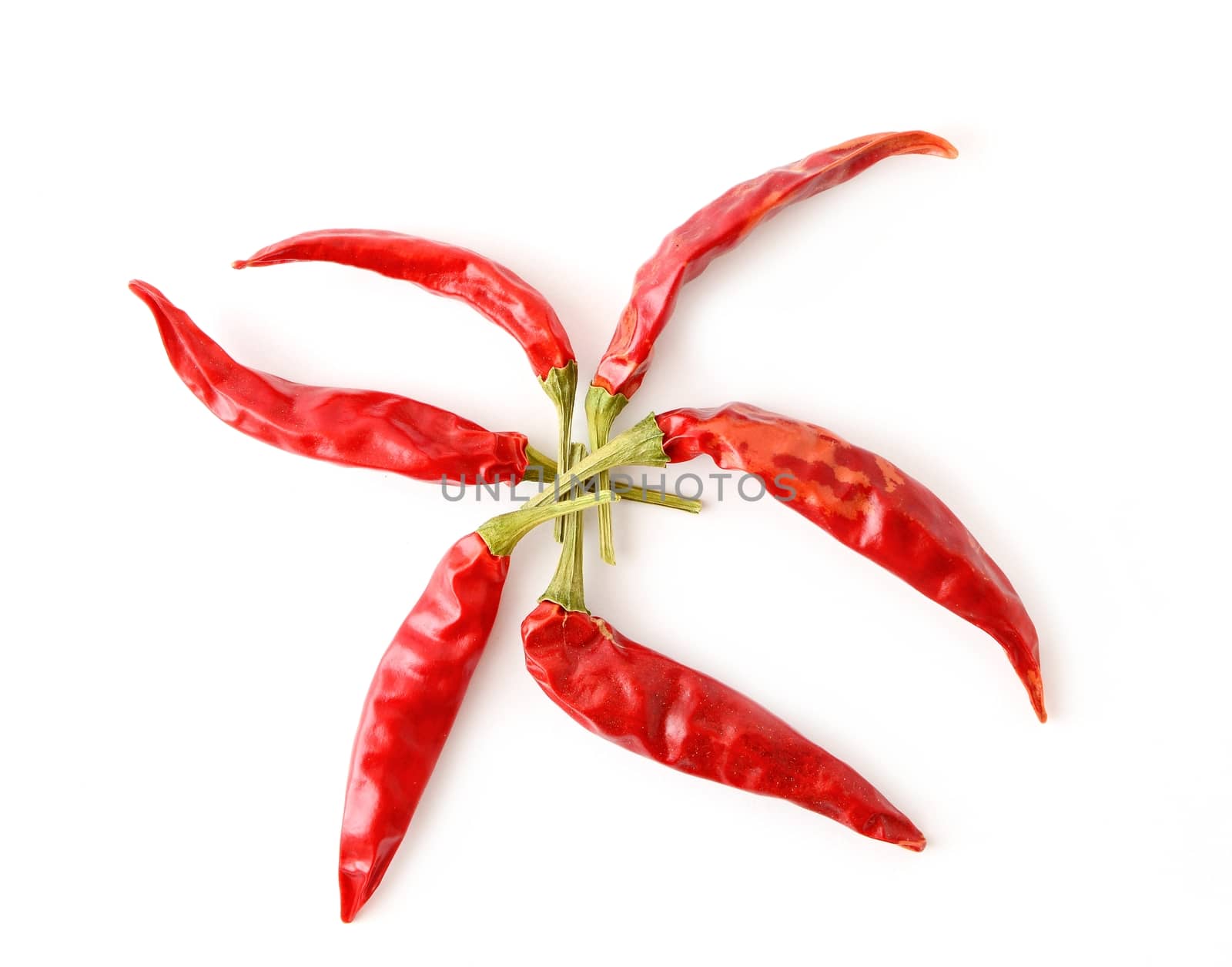 Dried red hot chilli peppers. by hamik