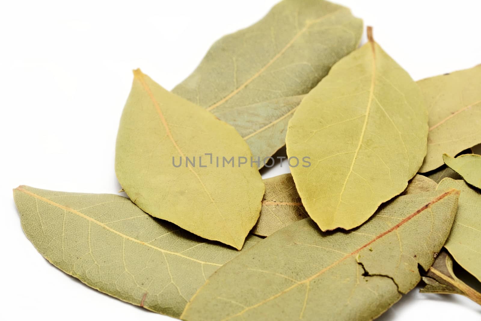 Dried bay leaves on white background. by hamik