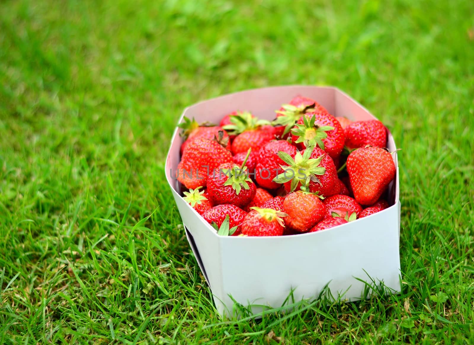 Strawberries in paper box. by hamik