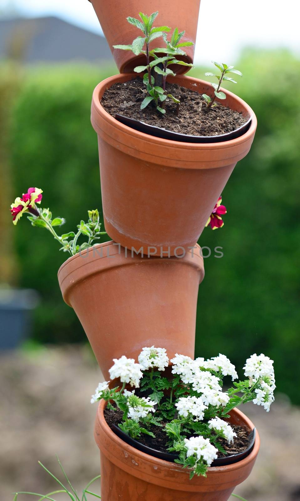 Stacked ornamental flower pots with blooming flowers.