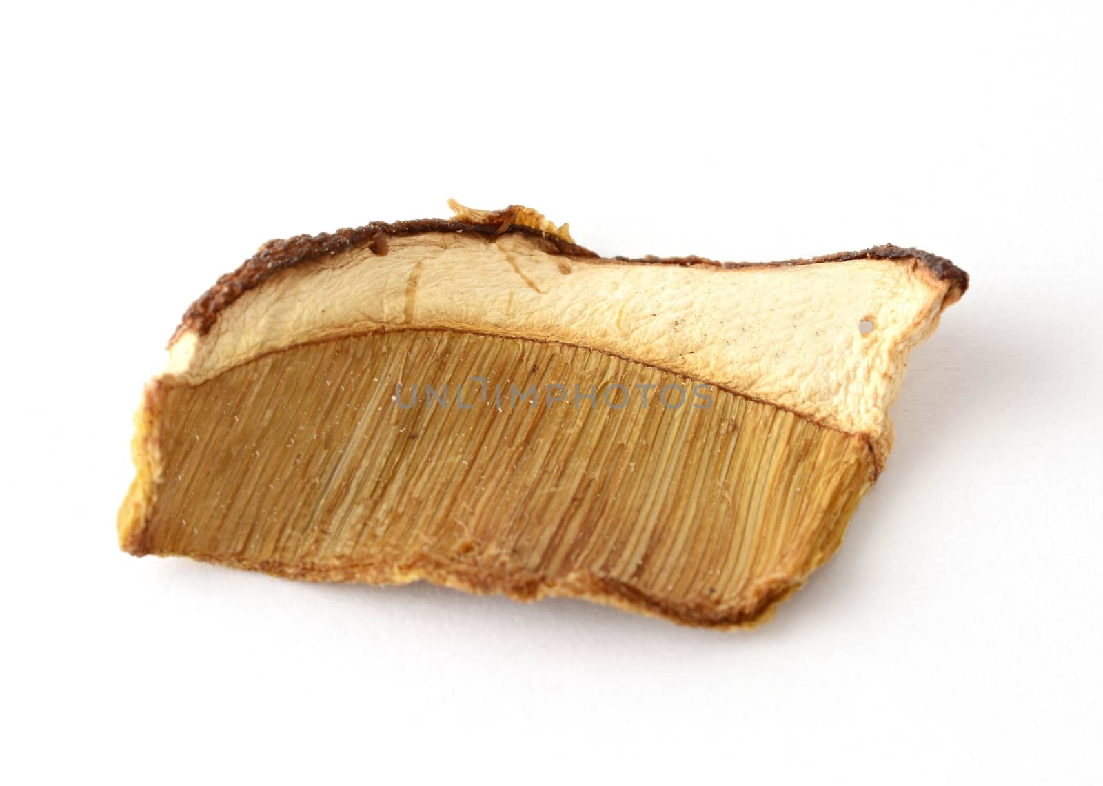 One sliced piece of dried edible forest mushroom on white.