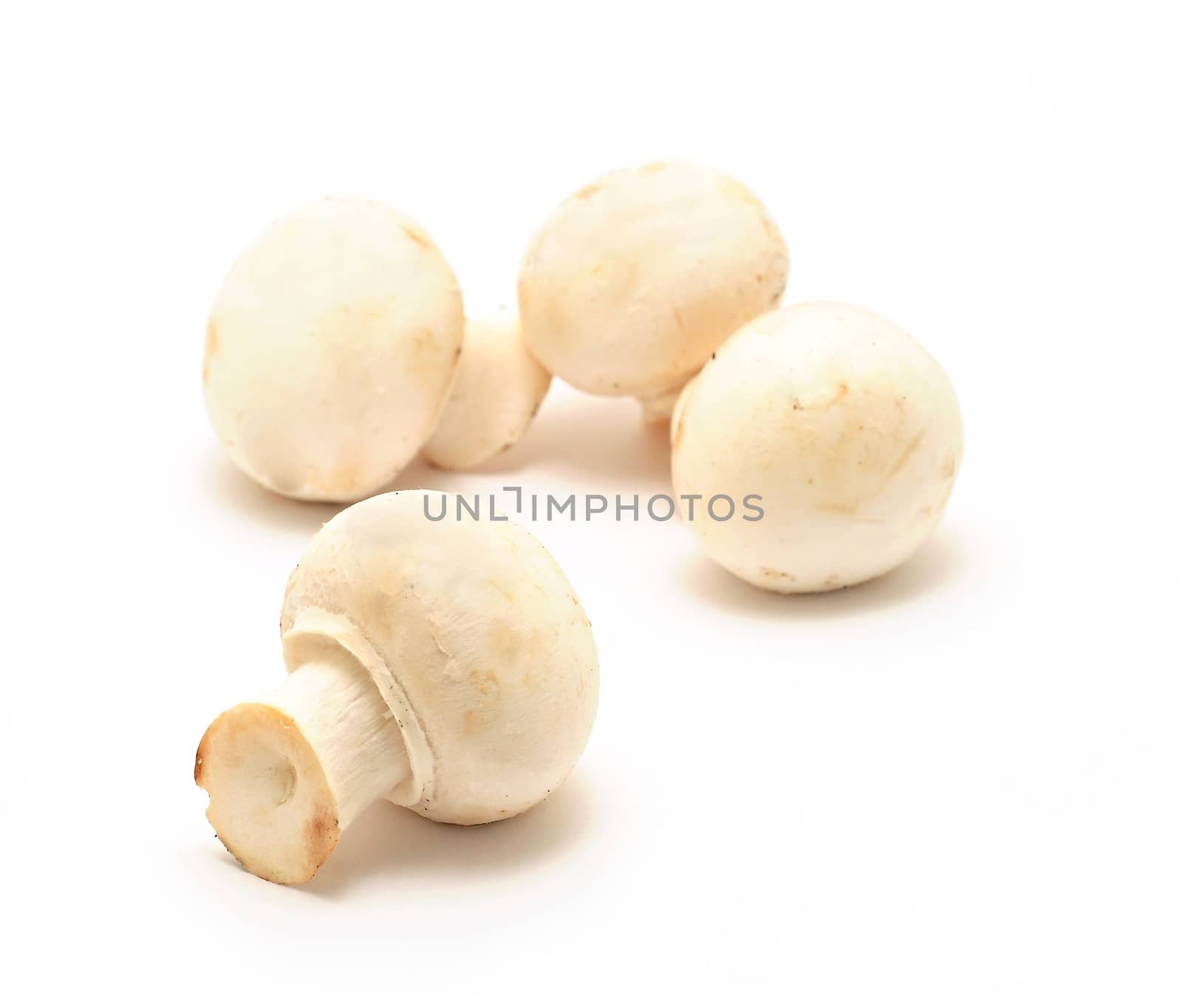 Fresh champignons on white background.