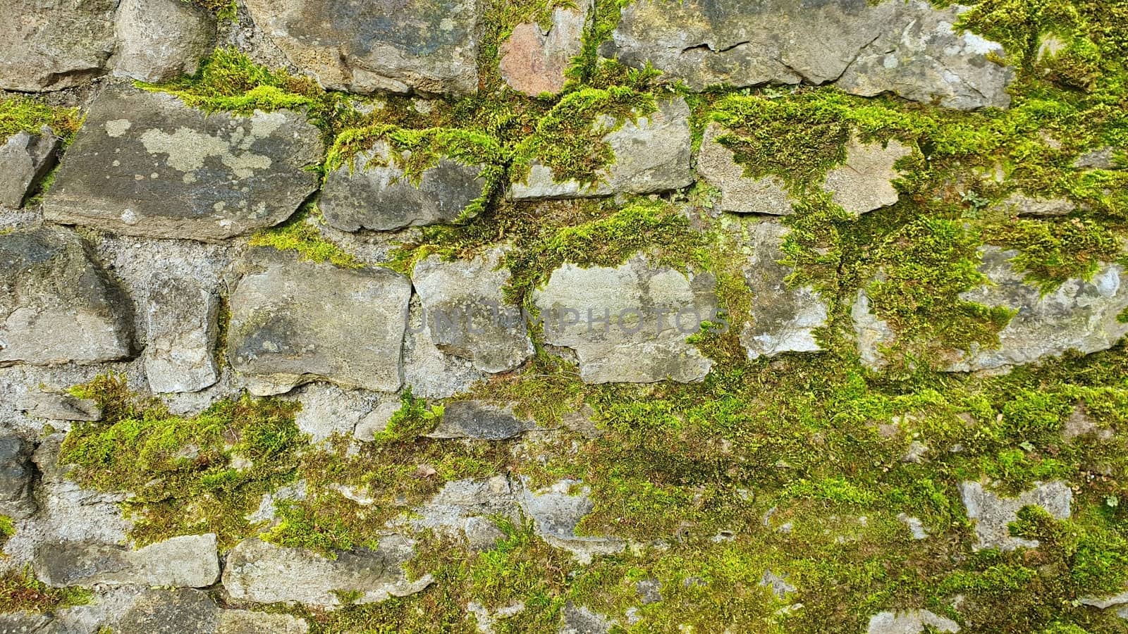 Mossy Stone Wall by hamik