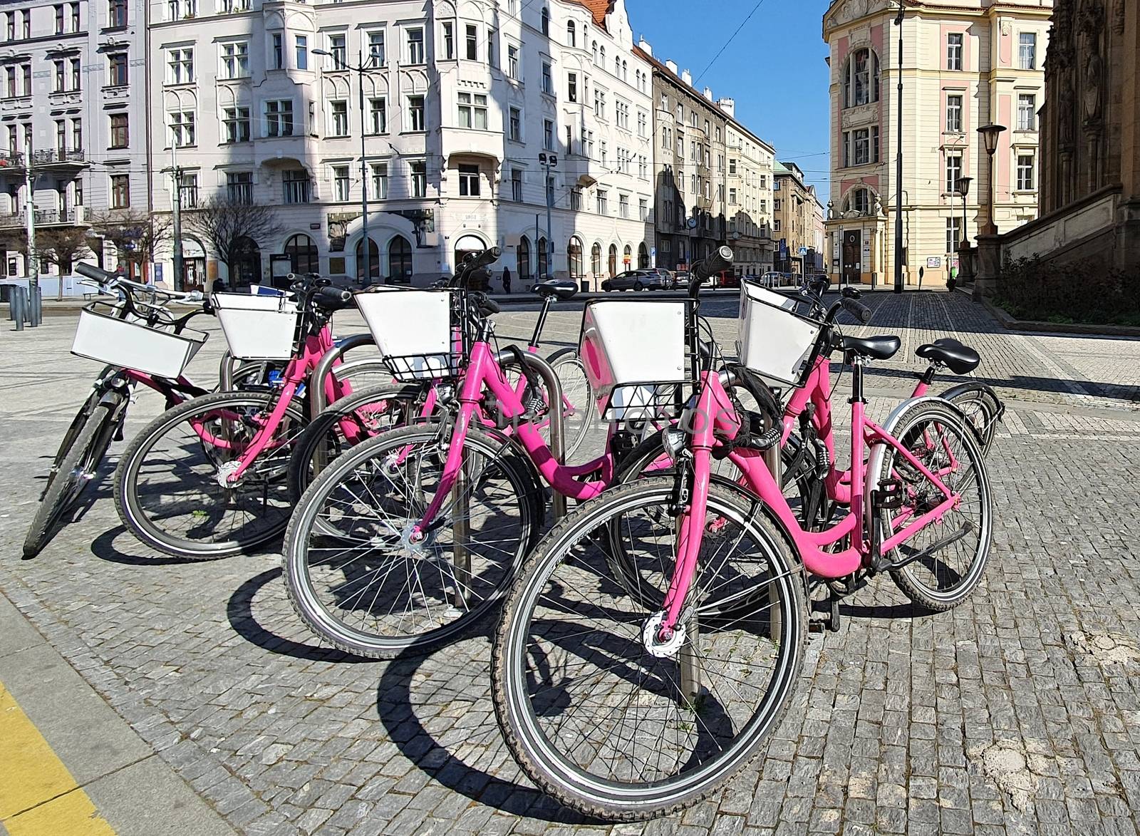 Bike sharing pink bicycles locked at pole in center of Prague city. New modern ecological and fast city transport. 