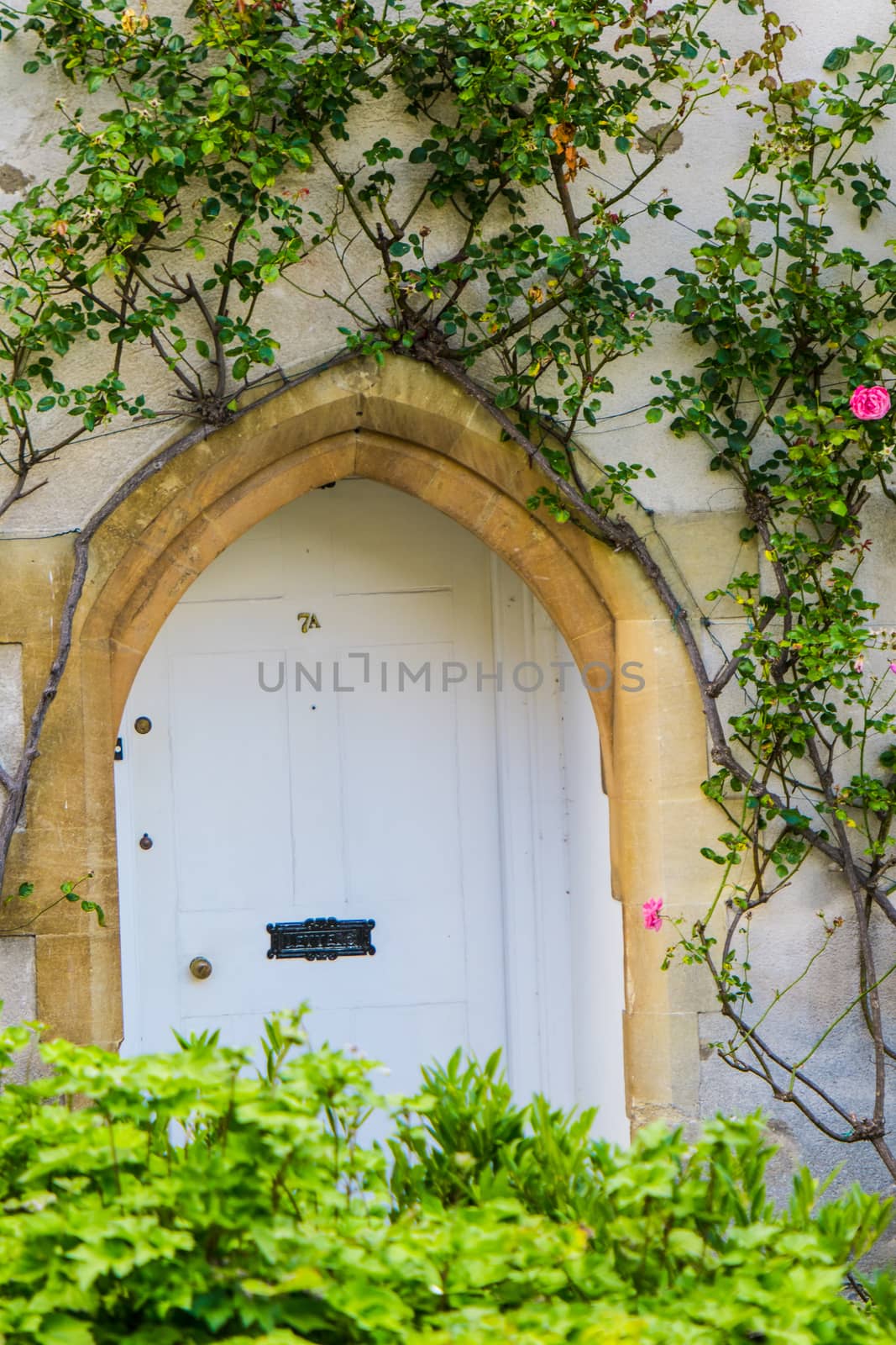 Front Door of a Beautiful Old English Cottage in the Cotswolds by paddythegolfer
