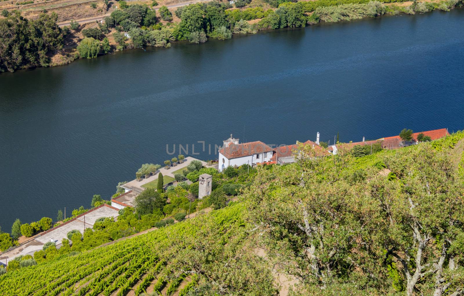 Douro Valley landscape by zittto