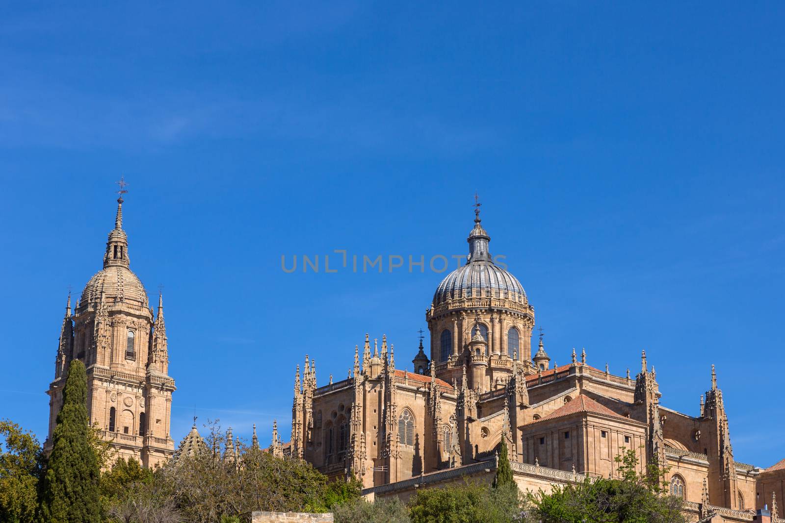 View of the dome of the historical Salamanca Cathedral, Spain