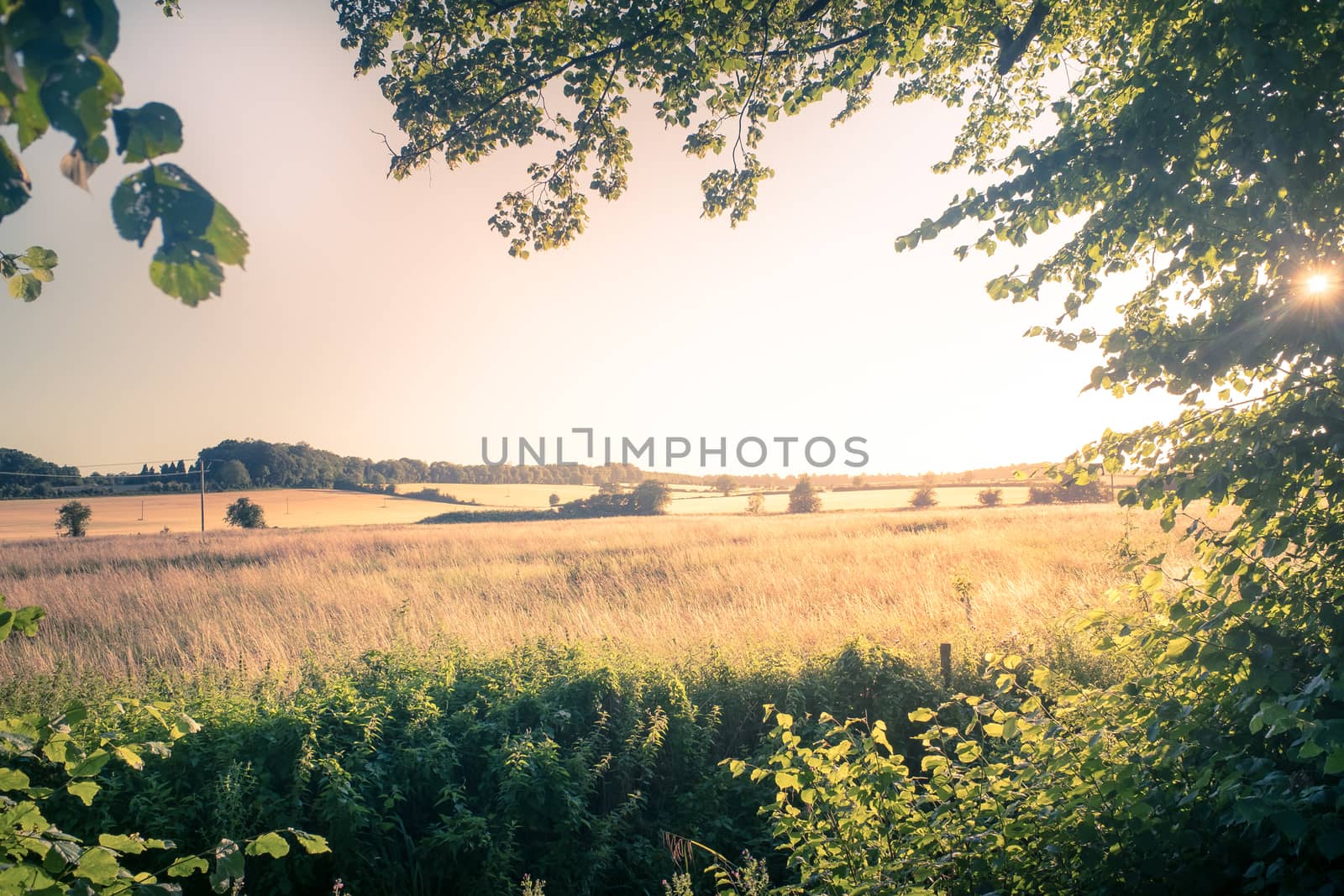 landscape of the Cotswolds in beautiful summer sunshine UK