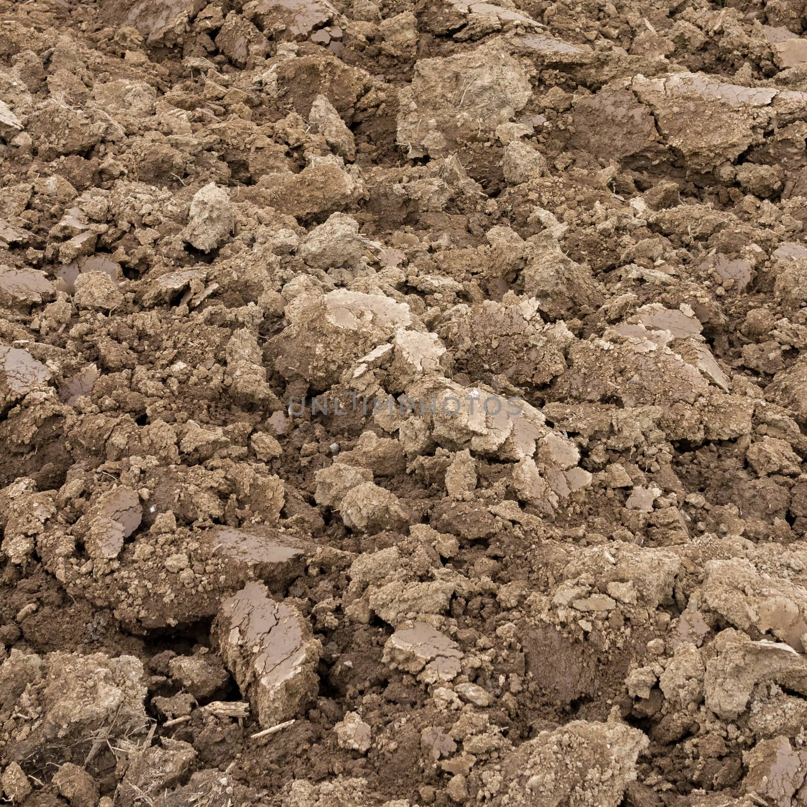 Open view on plowed ground in spring, ready for cultivation.