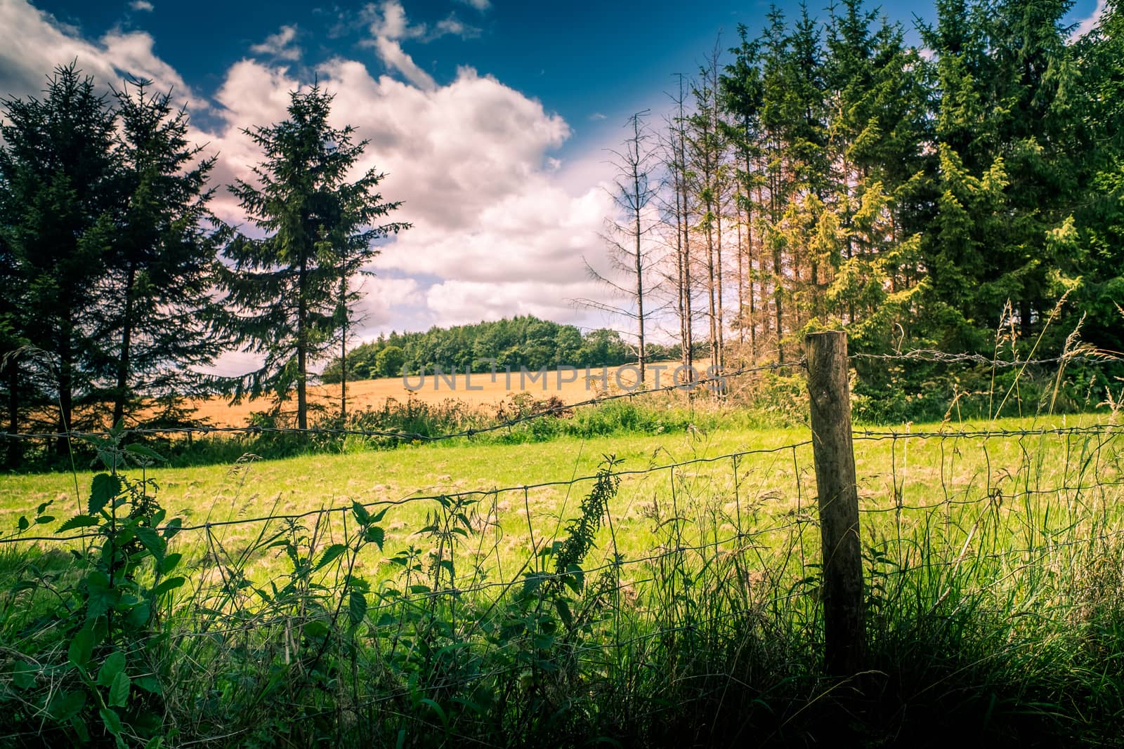 landscape of the Cotswolds in beautiful summer sunshine by paddythegolfer