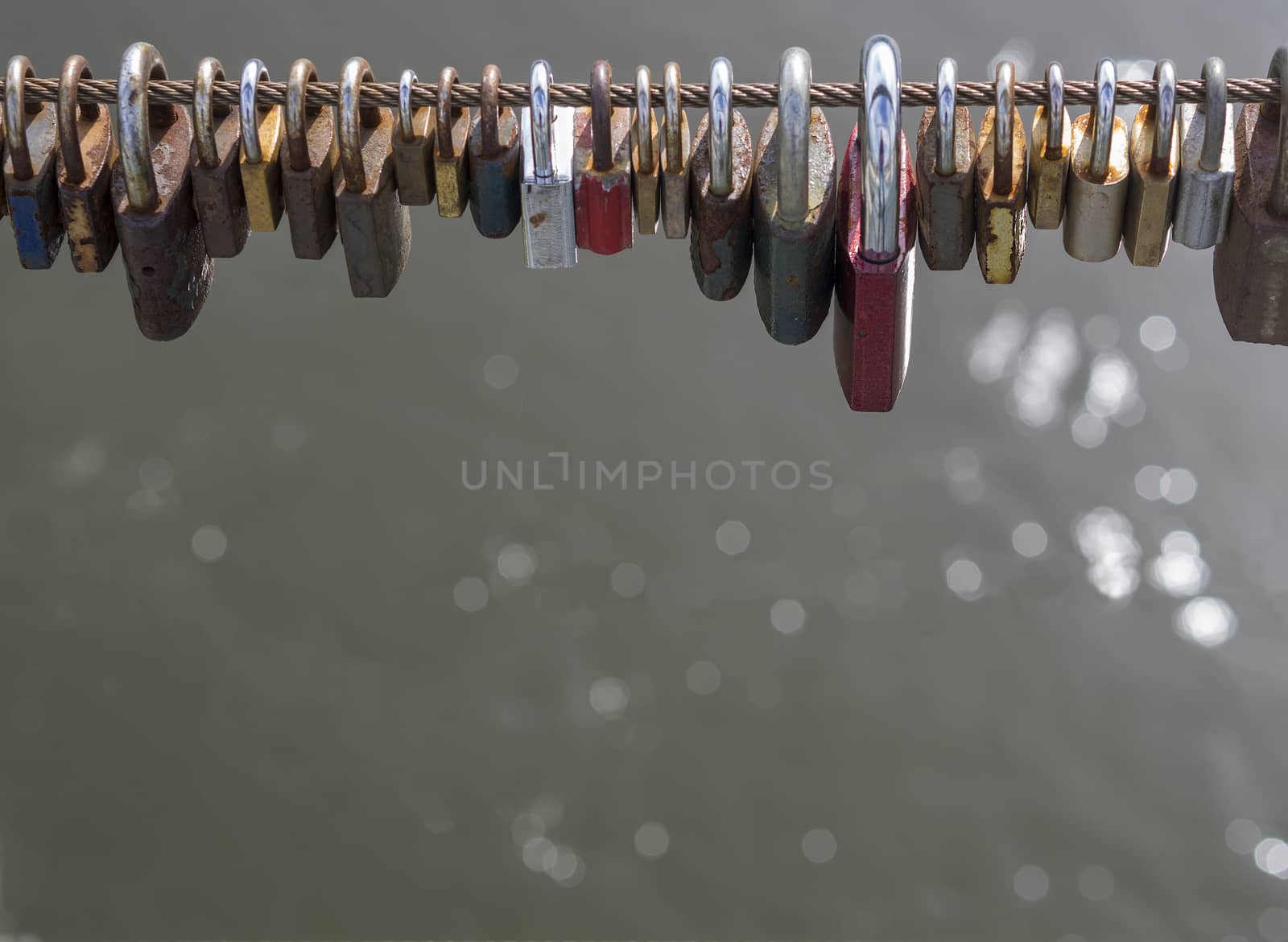 colorful locks hanging from high wire of bridge with bokeh lights on gray water background