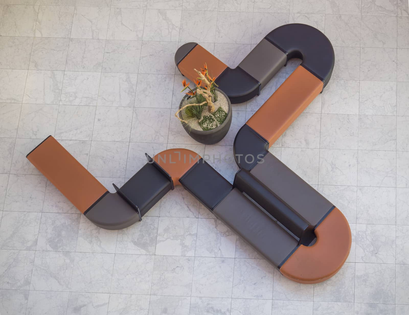 Top view of curved black and orange leather couch seating and flower pot in modern office hall with marble pavement.