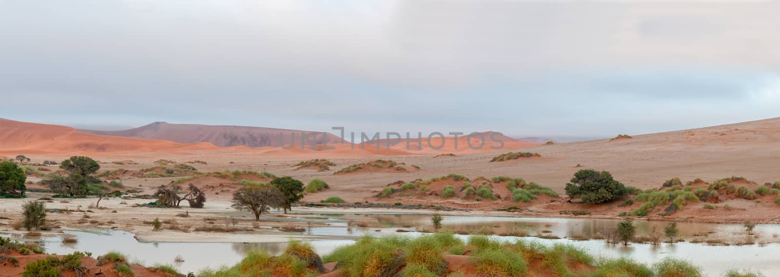 Panoramic view accross Sossusvlei to the south-west by dpreezg